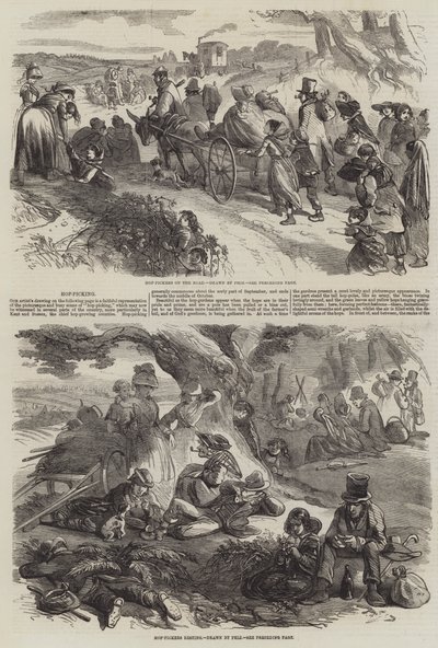 şerbetçiotu toplama by Hablot Knight Browne