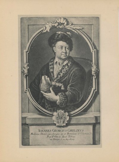 Doğa bilimci, botanikçi ve coğrafyacı Johann Georg Gmelin