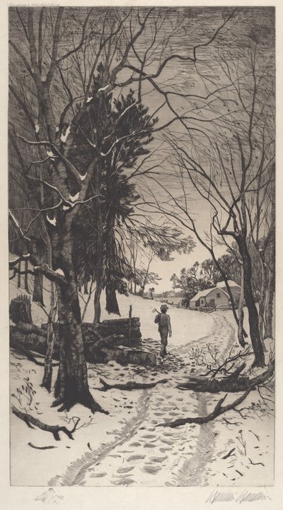 İsimsiz (Kış Manzarası) by Hamilton Hamilton
