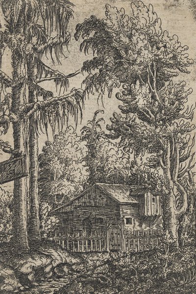 Bir Kabin ve İki Çam by Hanns Sebald Lautensack