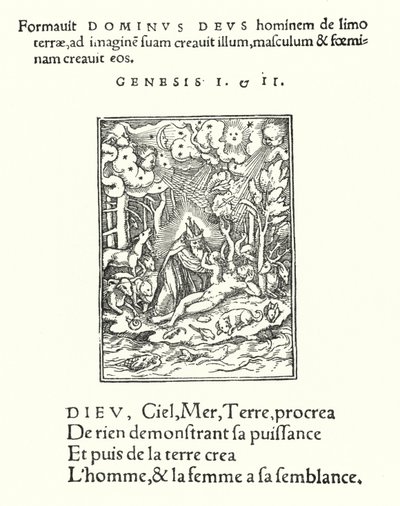 Yaratılış (gravür) by Hans (after) Holbein the Younger