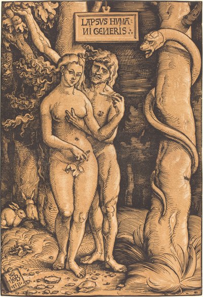 Adem ve Havva by Hans Baldung Grien