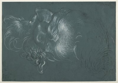 Sol yukarıdan görülen bir havarinin başı. by Hans Baldung Grien
