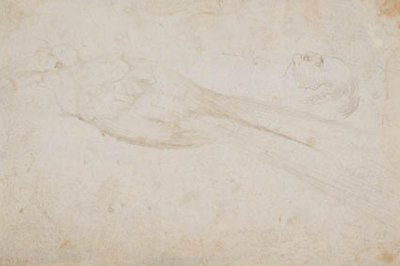 Soldaki profilde erkek cennet kuşu ve orta yaşlı bir adamın başı; ayrıca detayları by Hans Baldung Grien