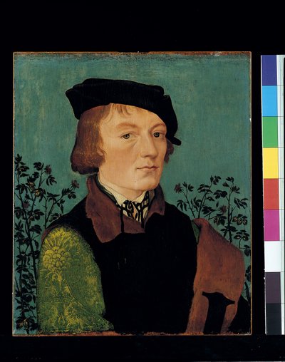 Bir Gül Çitinin Önünde Bir Adamın Portresi (ahşap üzerine yağlıboya) by Hans Baldung Grien