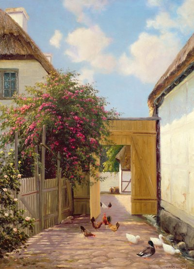 Kümes hayvanları ve ördekler by Hans Hilse