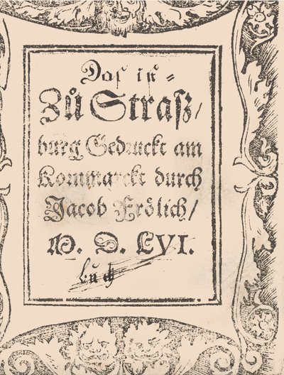 Tüm Nägerin ve Sydenstickern için yeni model kitap Sayfa 27v, 1556. by Hans Hoffman