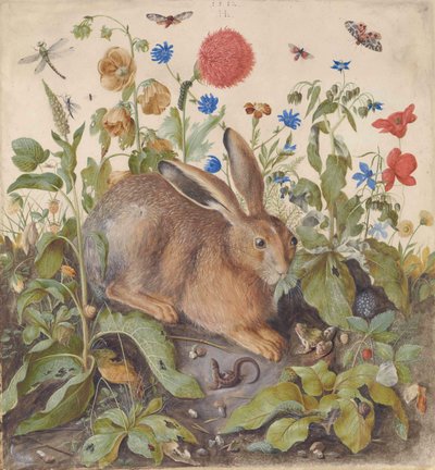  by Hans Hoffmann
