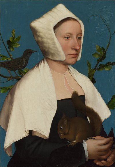 Sincap ve Starling Anne Lovell