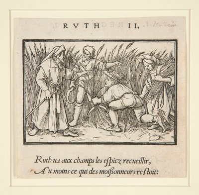 Booz Tarlalarında Ruth Temizliği (rekto); Hannah ve Elkanah (ters) by Hans Holbein der Jüngere
