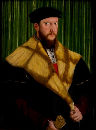 Bir Beyefendinin Portresi by Hans Mielich