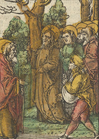 Das Plenarium, 1517