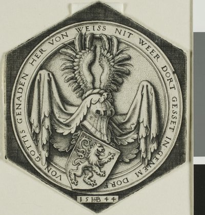 Yaygın Aslanlı Arması by Hans Sebald Beham
