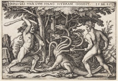 Hydra