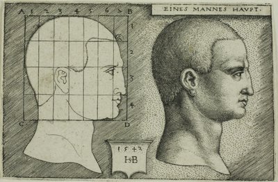 İnsan Başı Profil Çalışması by Hans Sebald Beham