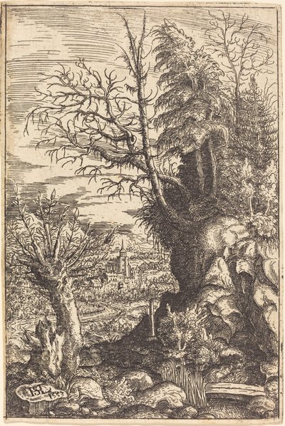 Söğütlü Manzara, 1553. by Hans Sebald Lautensack