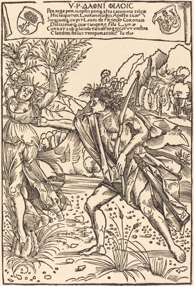 Apollon ve Defne by Hans Süss von Kulmbach
