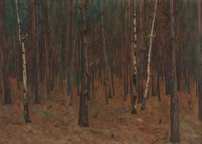 Waldinneres by Hans Tichy