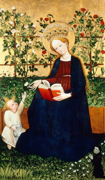  by Hans Tieffenthal