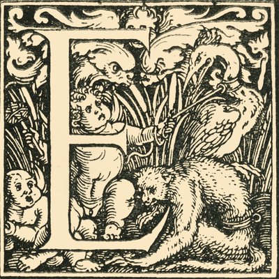 E - Bir Alfabe, Hans Weiditz, c1520-1521, 1908. by Hans Weiditz