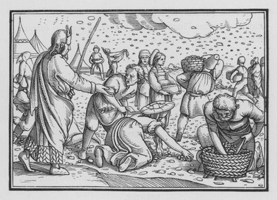İsrailliler Ekmek Yokluğu İçin Mırıldanıyor, Çıkış XVI, 4 by Hans after Holbein the Younger
