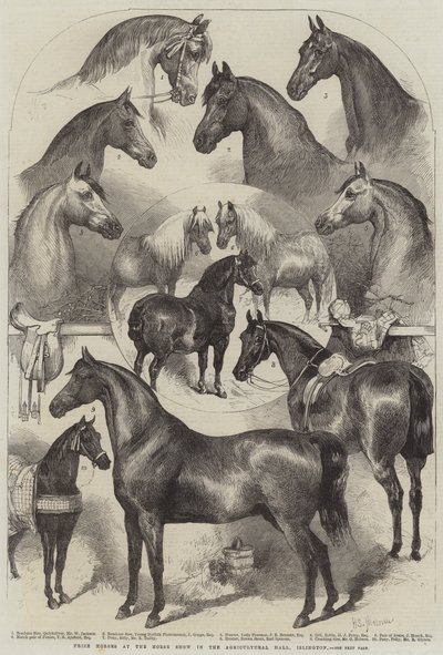 Islington, Tarım Salonundaki At Gösterisinde Ödül Atları by Harden Sidney Melville