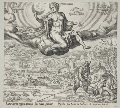 balgamlı mizaç by Harmen Jansz. Muller