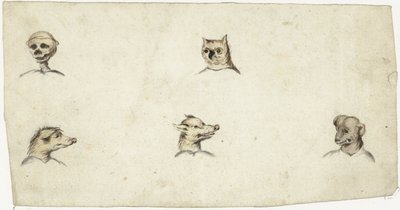 Dört hayvanın başı ve bir iskelet by Harmen ter Borch