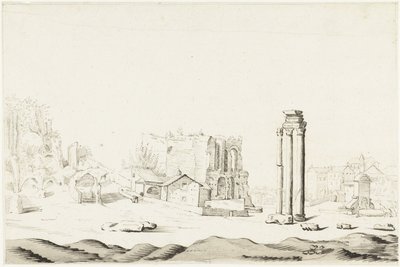 Ruïnes van de Campo Vaccino, Forum Romanum