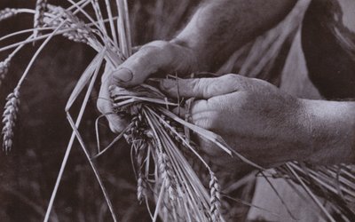 Hasır Bant Yapımı (s/b fotoğraf) by Harold Burdekin