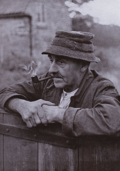 Eski yaban gülü üzerine üç çizim (s/b fotoğraf) by Harold Burdekin