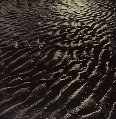 nervürlü deniz kumu, Coleridge (s/b fotoğraf) by Harold Burdekin