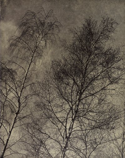 Onların çekiciliği, akıcı bir gökyüzü boyunca yazılıdır, Robert Bridges (s/b fotoğraf) by Harold Burdekin