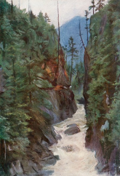 Kuzey Vancouver yakınlarındaki Capilano Kanyonu by Harold Copping