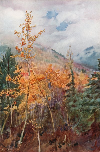 Nelson, British Columbia yakınlarındaki bir dağ tarafında by Harold Copping