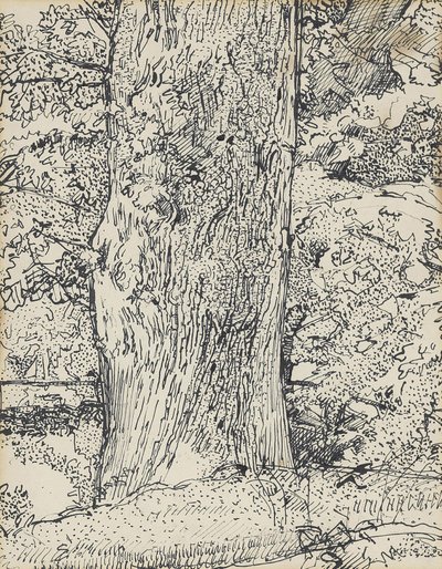 Ağaç, 1916 by Harold Gilman