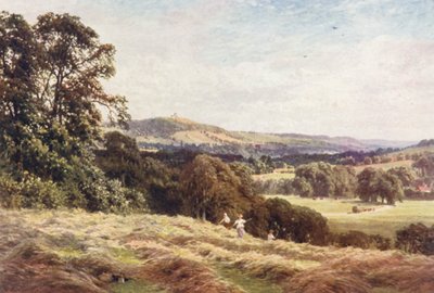 A Hayfield, Wonersh (renkli taşbaskı) by Harold Sutton Palmer