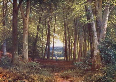 Deer-Leap Wood, Wotton (renkli litografi) by Harold Sutton Palmer