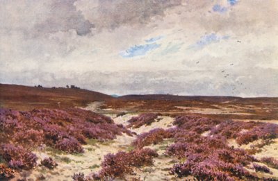 Frensham Common (renkli lito) by Harold Sutton Palmer