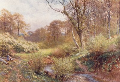 Spring Woods, Ockley