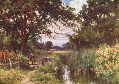 Chobham yakınlarında (renkli lito) by Harold Sutton Palmer