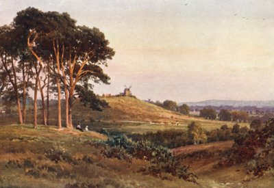 Reigate Heath, Akşam (renkli lito) by Harold Sutton Palmer
