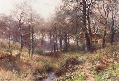 Haslemere yakınlarındaki Ormanın Ortasındaki Çiftlik (renkli litografi) by Harold Sutton Palmer