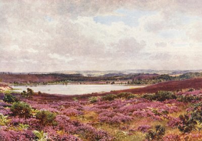 Büyük Gölet, Frensham (renkli taşbaskı) by Harold Sutton Palmer