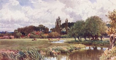 The Meads, Farnham (renkli taş baskı) by Harold Sutton Palmer