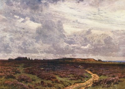 The Sandy Road, Milford Heath (renkli taş baskı) by Harold Sutton Palmer