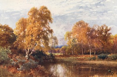 Azalan Yıl (renkli taş baskı) by Harold Sutton Palmer