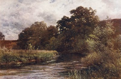 Tilford yakınlarındaki Hankley Common