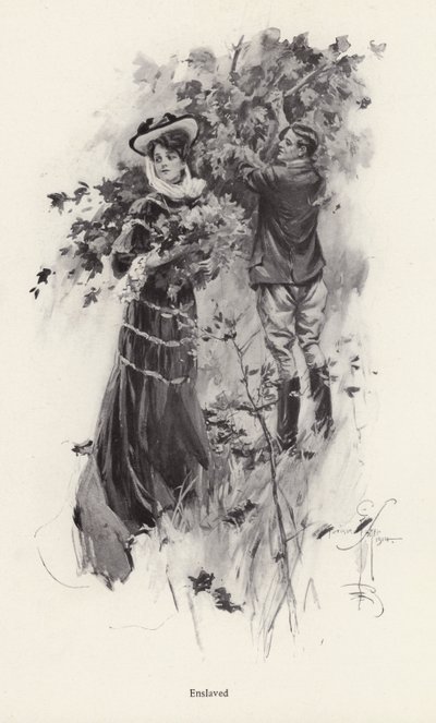 Bir erkek hayranıyla çiçek toplayan kadın (lito) by Harrison Fisher