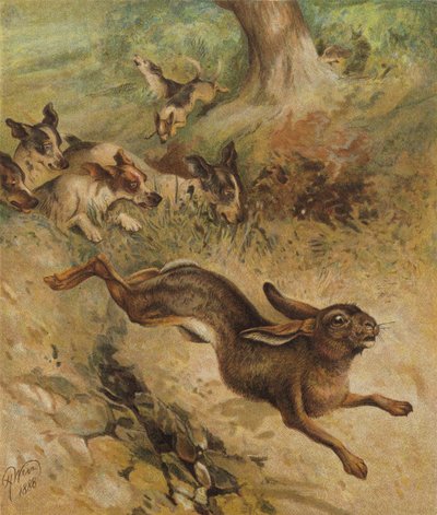 Yaşam İçin Bir Koşu (chromolitho) by Harrison William Weir